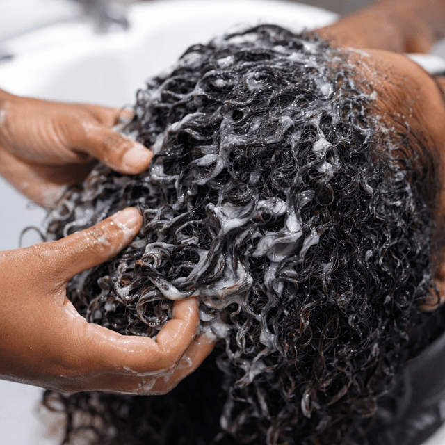 Holistic Hydration Hair Collective at Alyssa Cuts & Curls in McAllen, TX